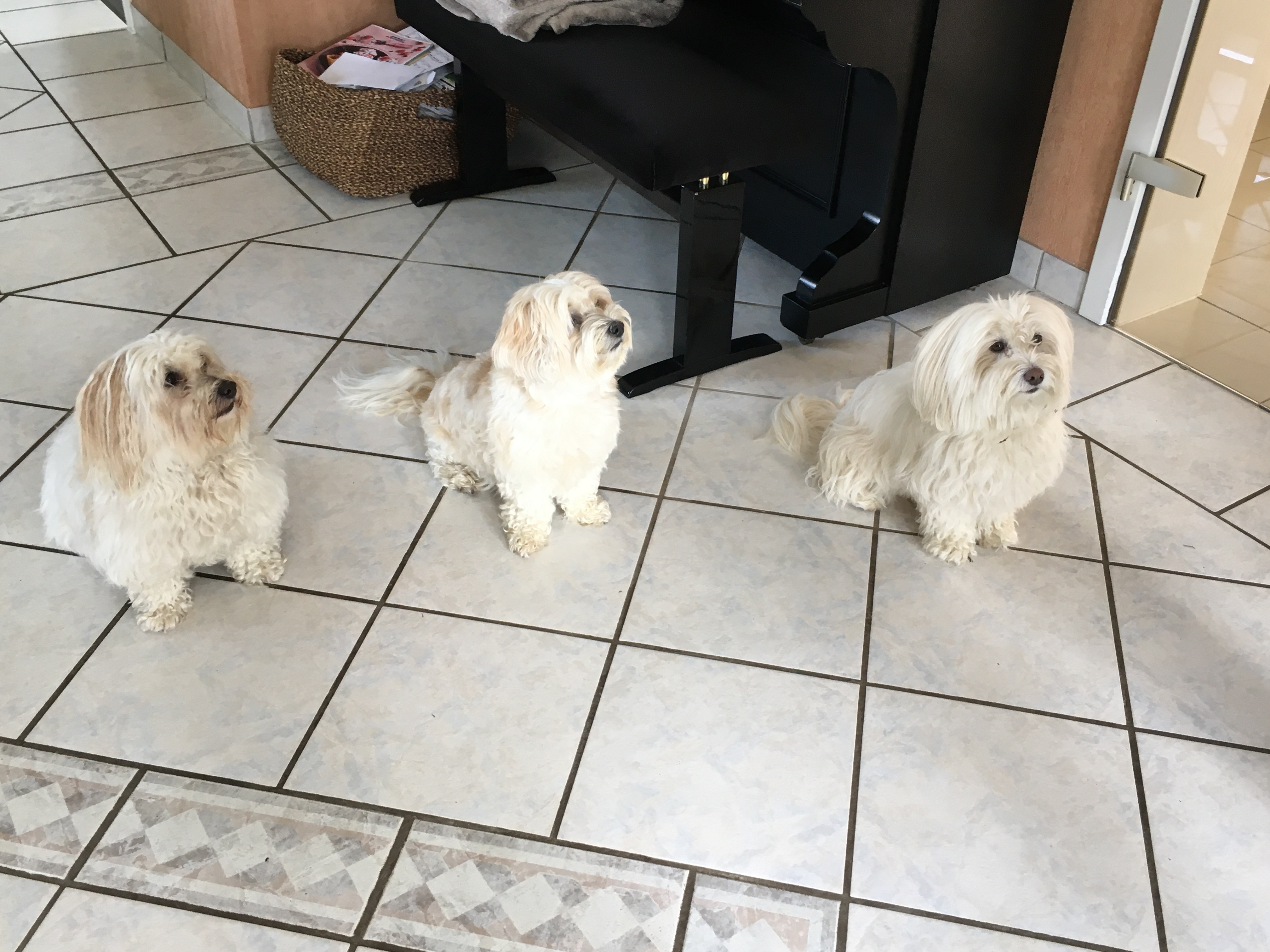 [Bild mit Elfi&Maja]