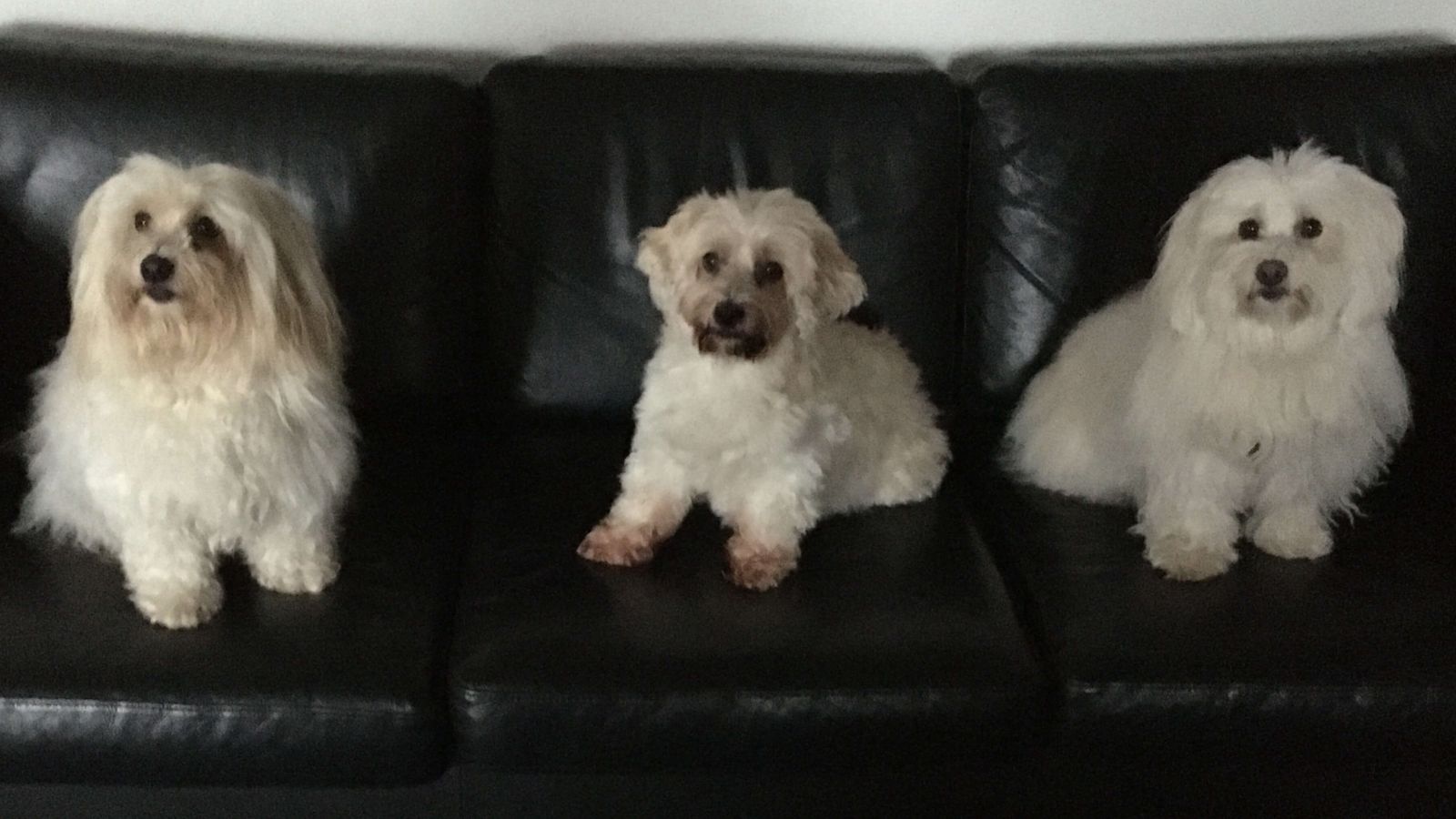 [Bild mit Elfi&Maja]