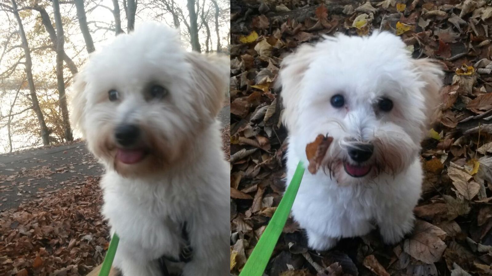 [Historisches Bild 6]