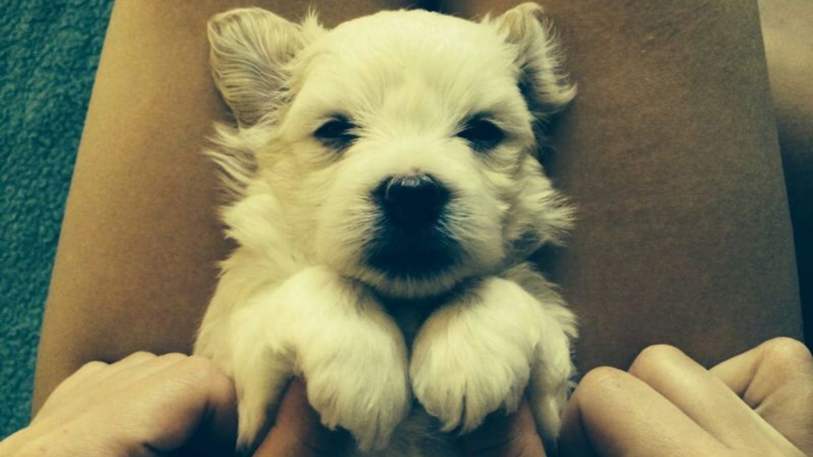 [Historisches Bild 2]