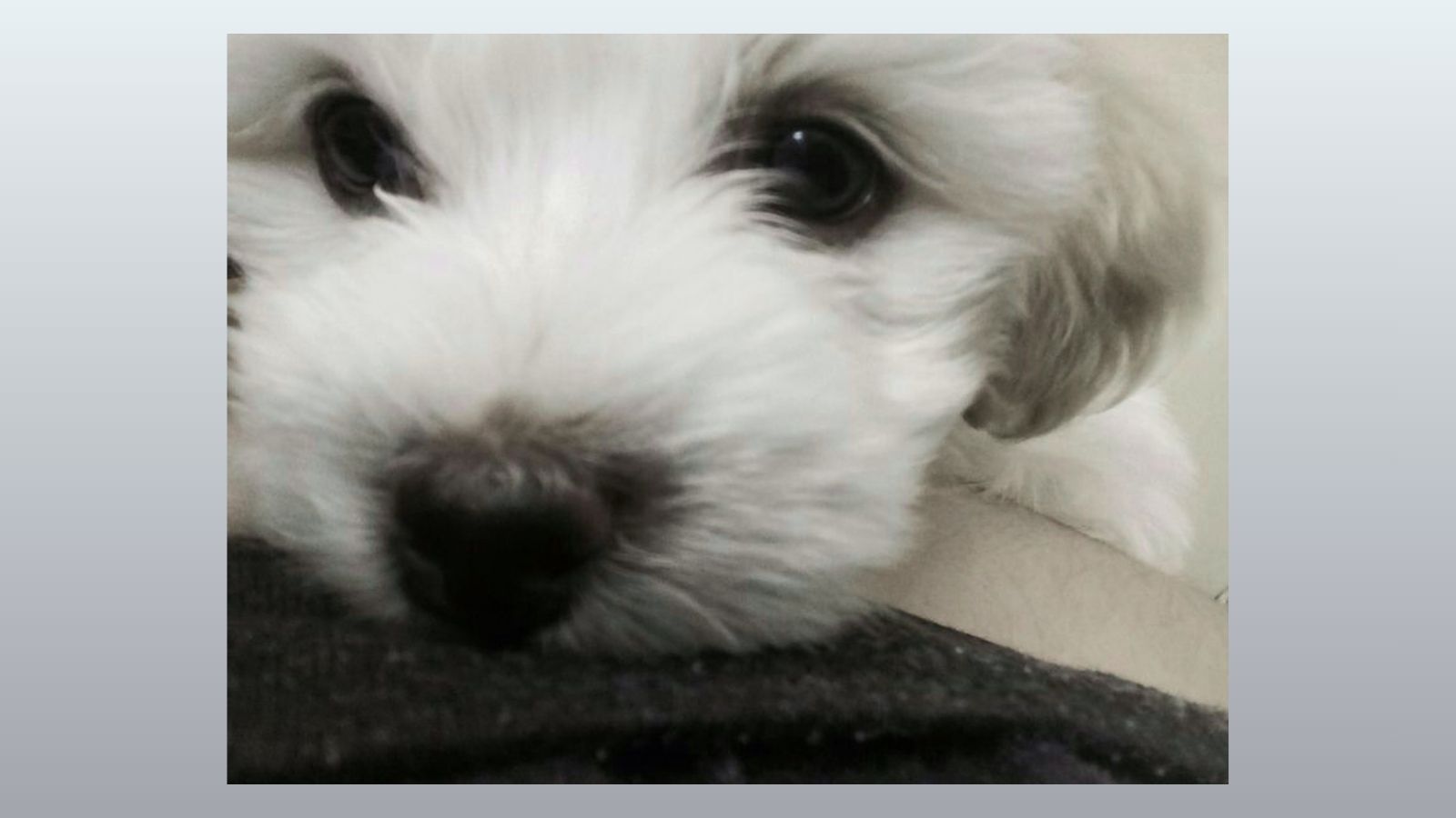 [Historisches Bild 4]