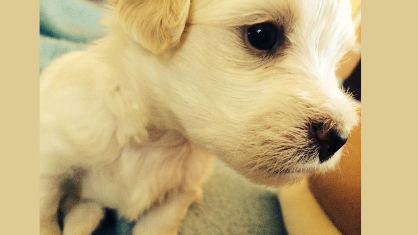 [Historisches Bild 3]