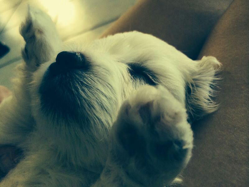 [Historisches Bild 1]